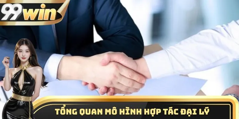 Một vài thông tin cơ bản cần nắm được về chính sách hợp tác đại lý