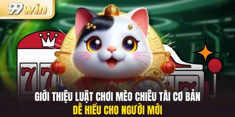 Giới thiệu luật chơi Mèo Chiêu Tài cơ bản, dễ hiểu cho người mới